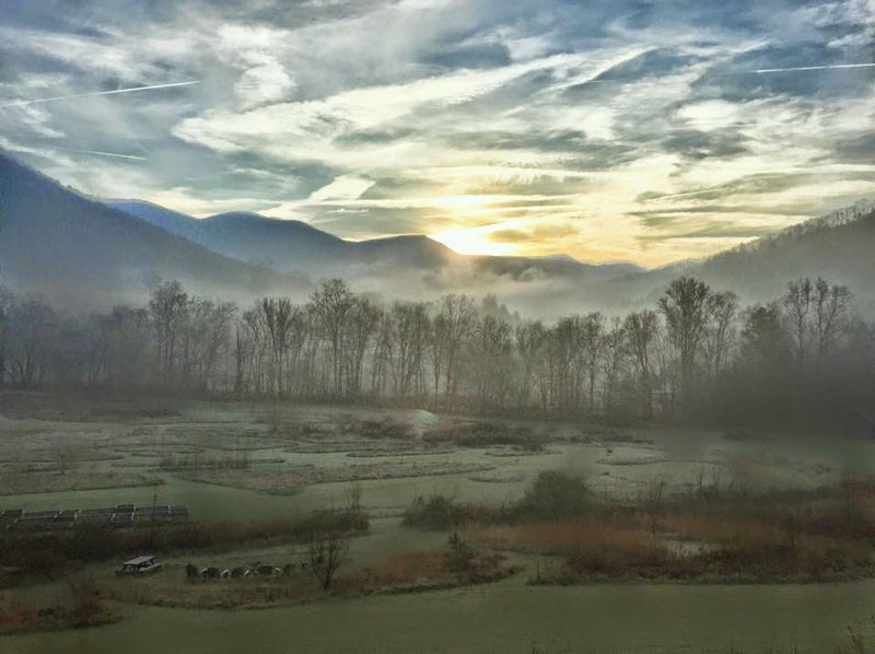 BEFORE, DURING & AFTER...LESSONS FROM THE PANDEMIC